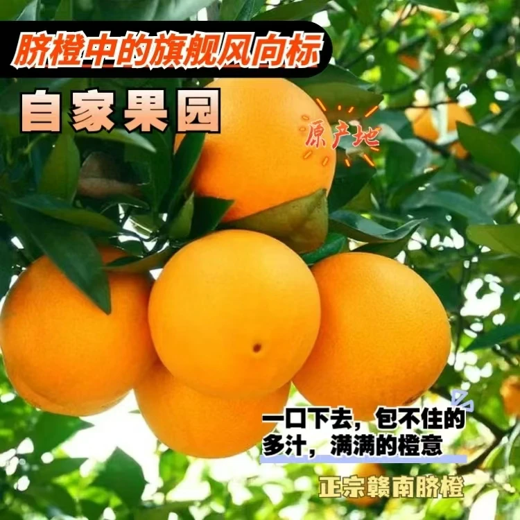 江西正宗脐橙新鲜现摘当季水果产地直发