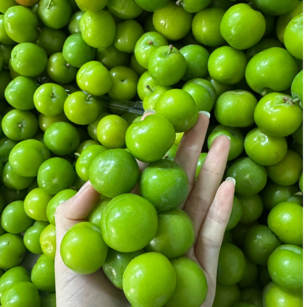 三月李脆李新鲜水果孕妇水果酸爽可口送辣椒盐包邮