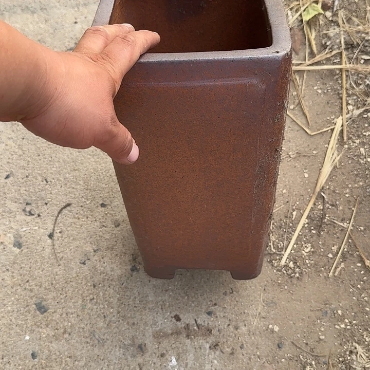 一天只喝一点奶茶和两碗奶茶