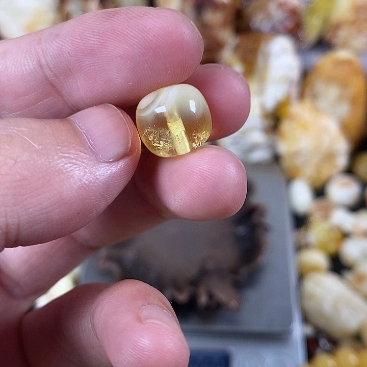裸石琥珀未镶嵌我