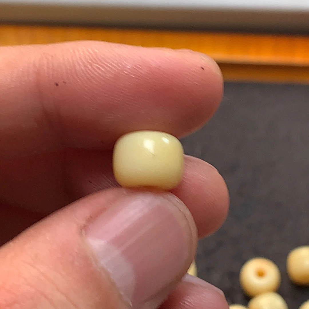 猛犸猛犸猛犸猛犸猛犸d8