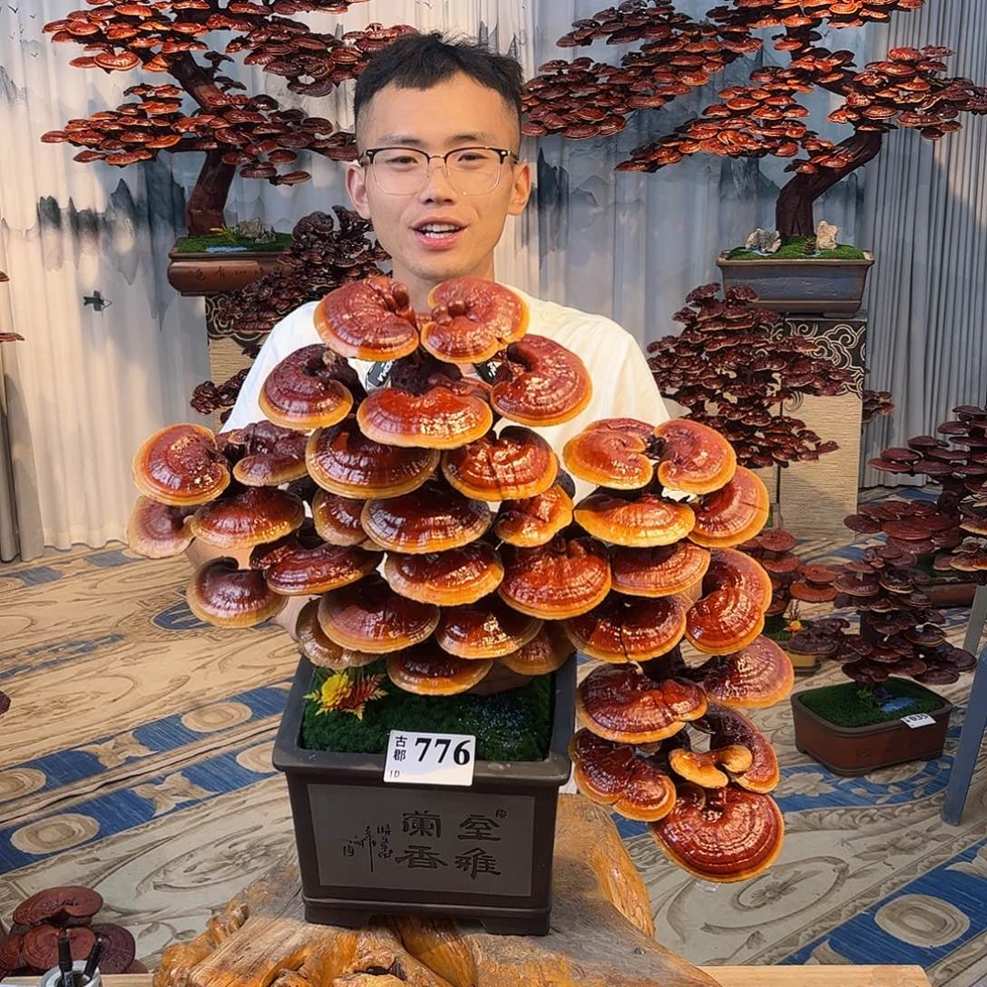 无花朵88888888888888