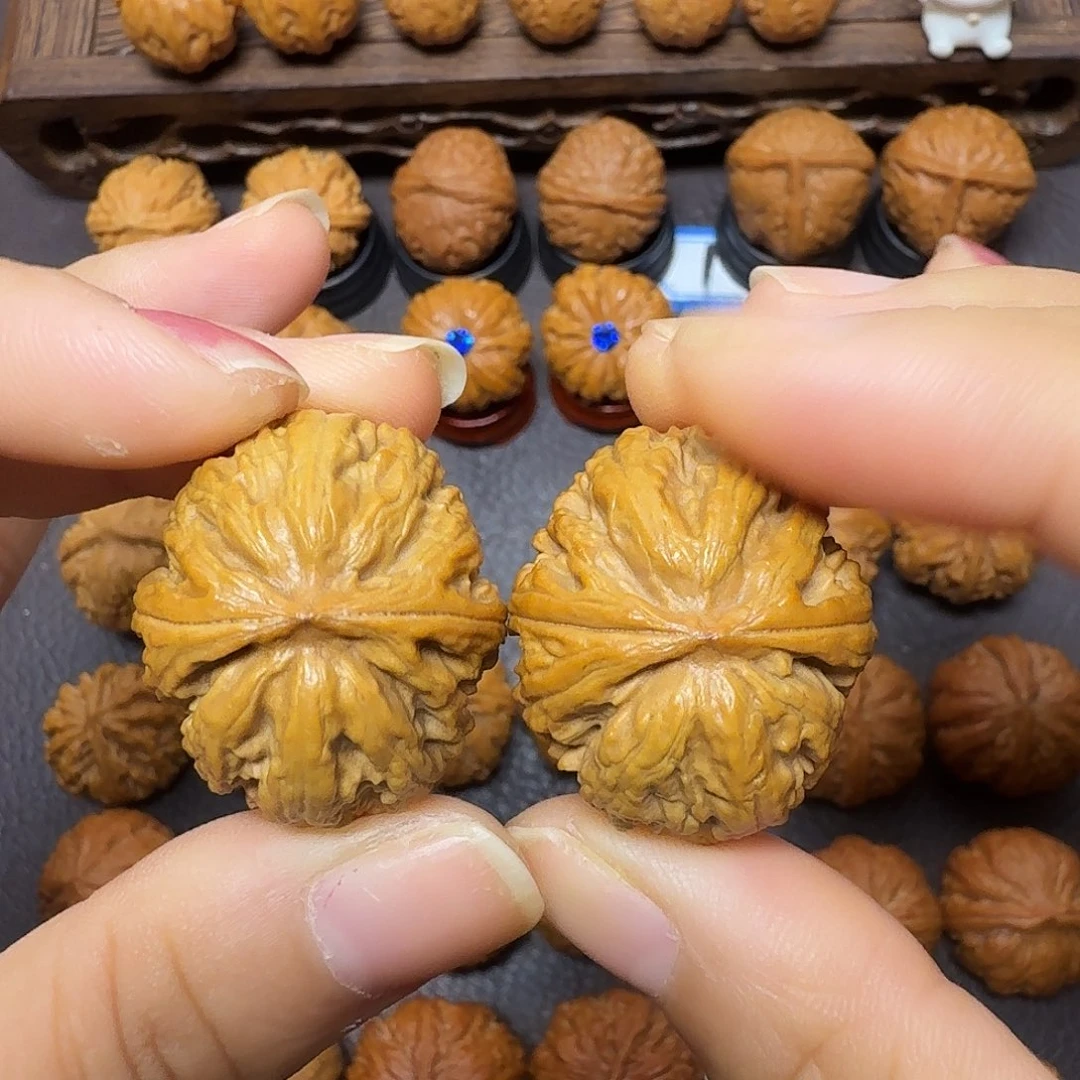 把件文玩核桃30焖尖白狮子08888