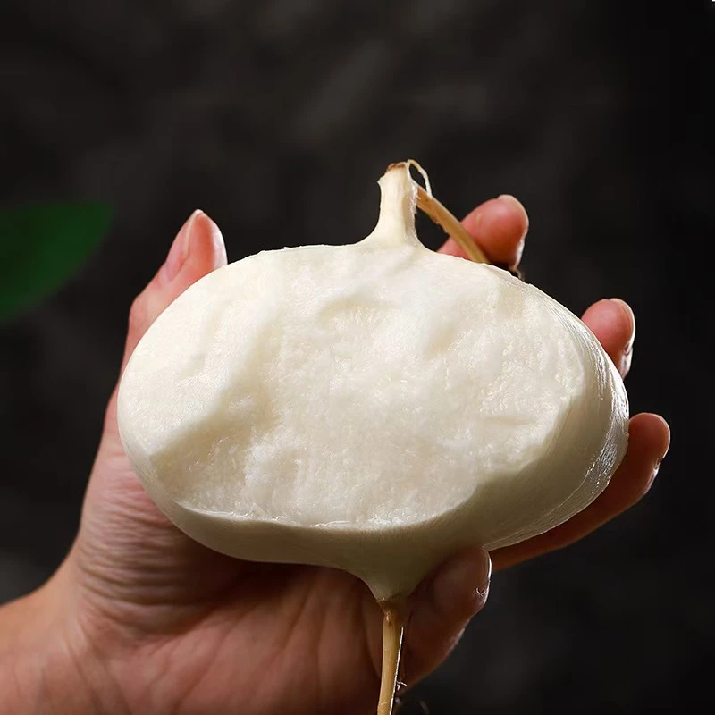 【广东凉薯】广东凉薯口感脆嫩清甜爽口 5斤装 G