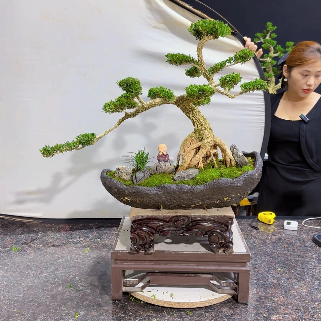 当前无花朵，栽培后可花朵