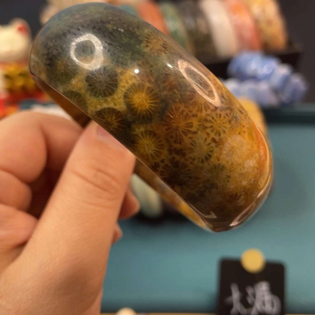 未镶嵌手镯硅化玉
