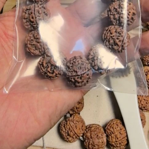 树***沙金刚菩提手串原生态的大金刚手串，20左右尺寸，原皮原色