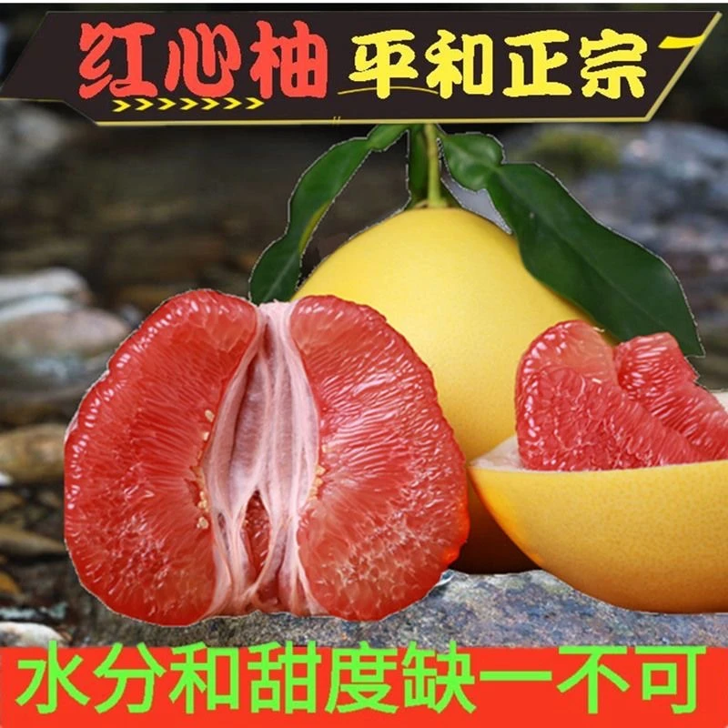 福建平和馆溪蜜柚老树头茬红心蜜柚子当季新鲜水果皮薄肉厚多汁