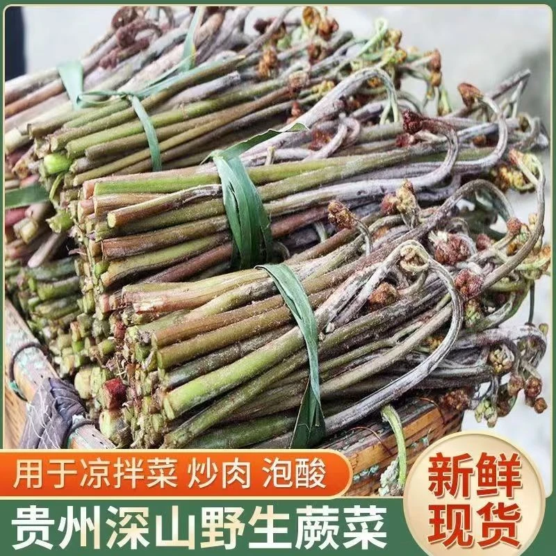 贵州高山野生头茬鲜嫩蕨菜龙爪菜坏单包赔鸡爪菜凉拌菜应季蔬菜