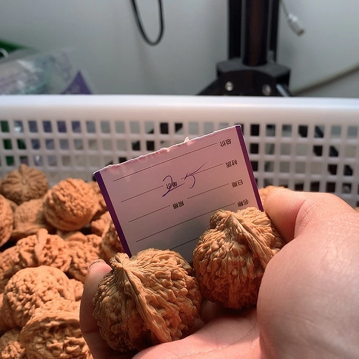 文玩核桃把件黄*牛满天星