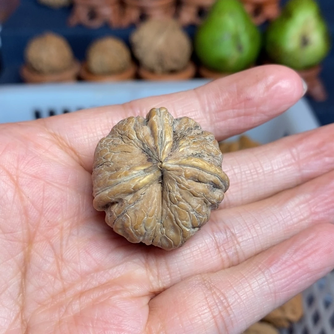 时***间把件文玩核桃尺寸