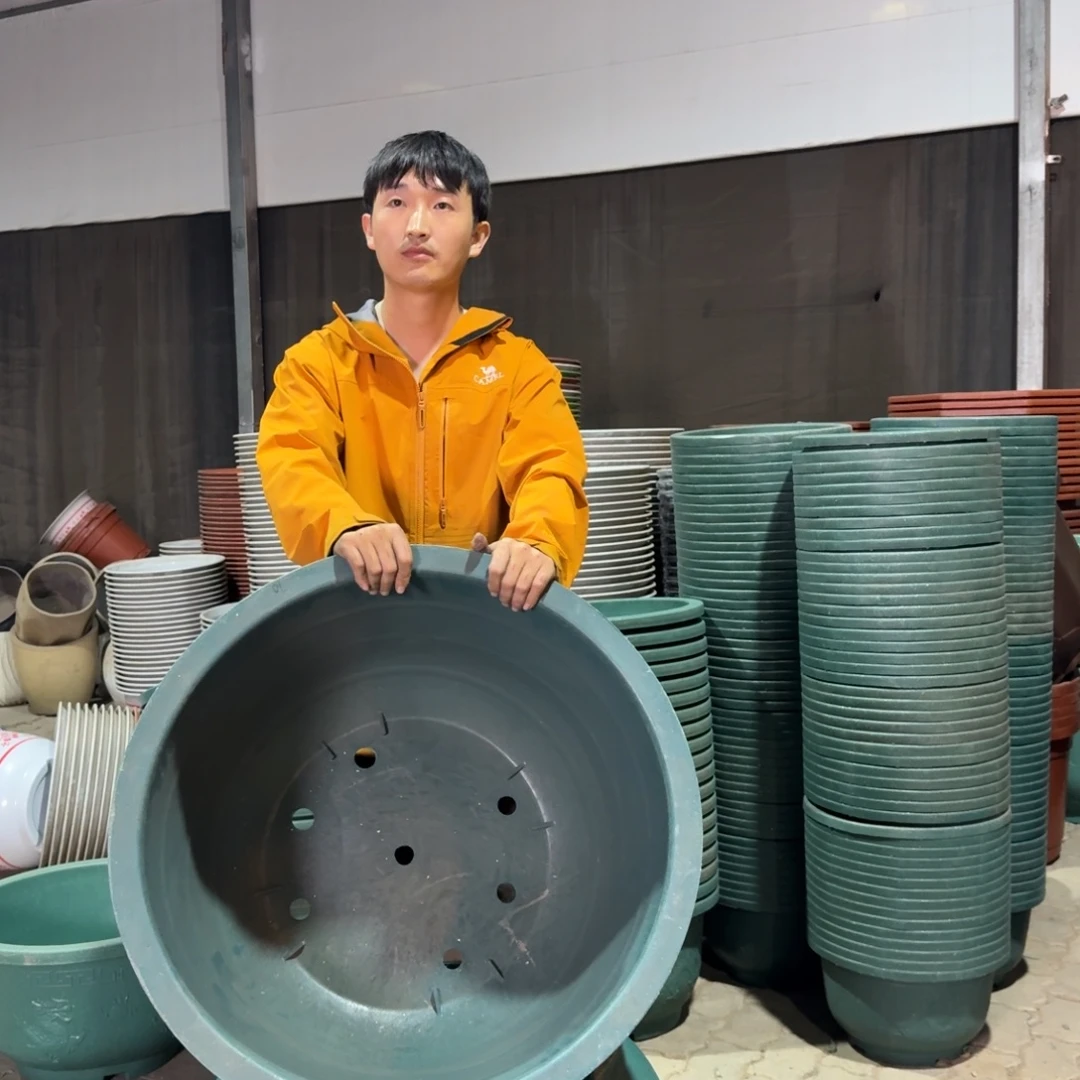 70绿龙盆10个发龙兴物流自提