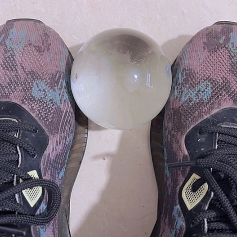 香榧木凌*Chgjghbhbhb