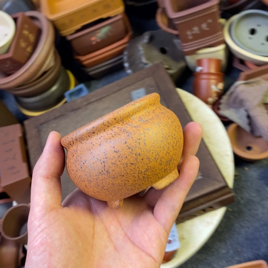 泥塑vvvvvvvvvvvvvvvv6+5