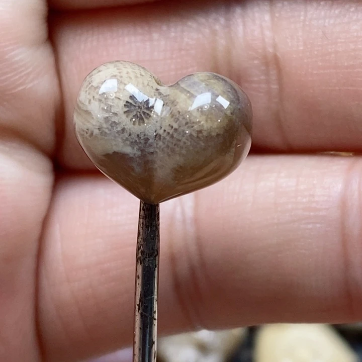 颈饰未镶嵌硅化珊瑚（珊瑚玉）小