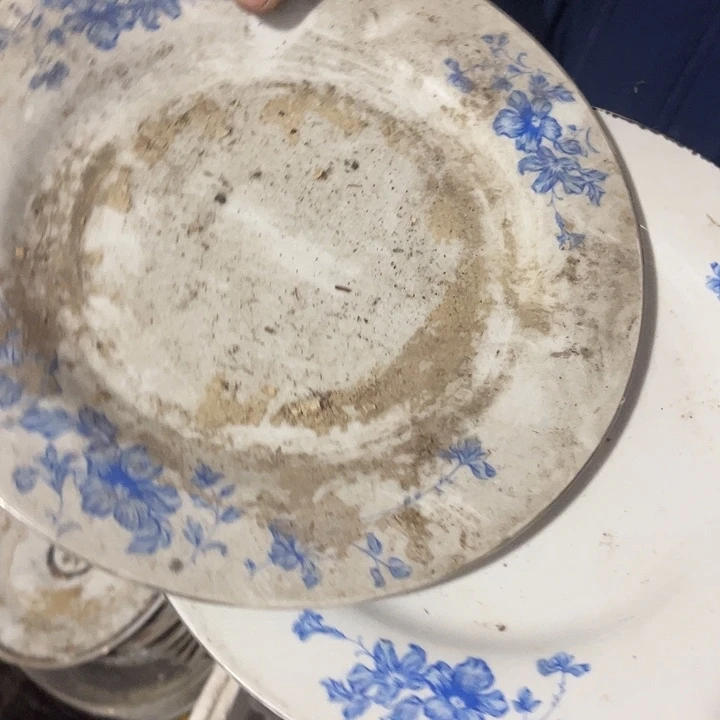 其他陶哈哈哈哈哈哈哈哈