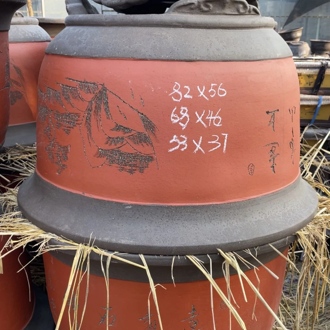 紫砂大金钟红 68-46 五支