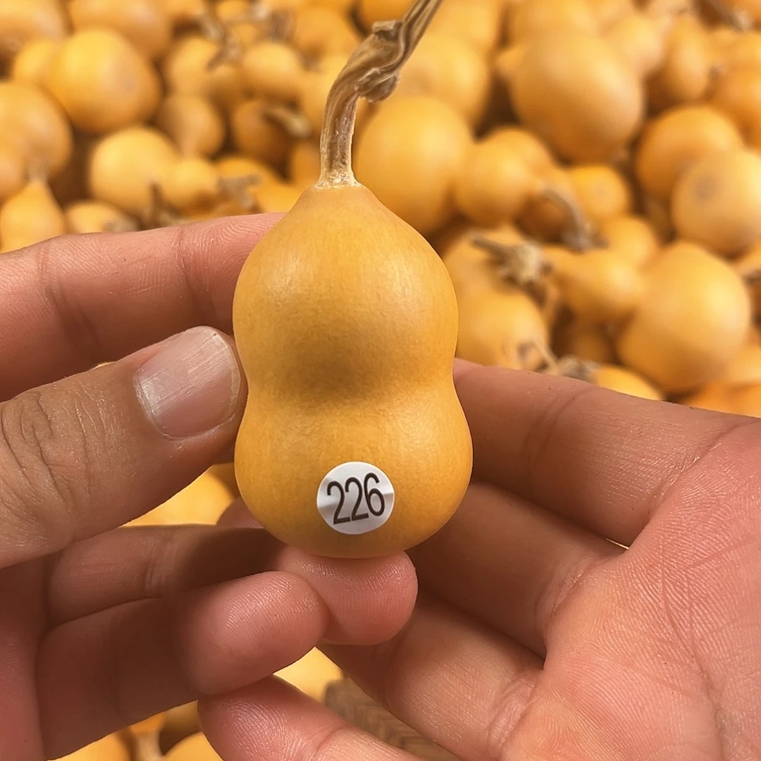 二葫芦葫芦葫芦葫芦226