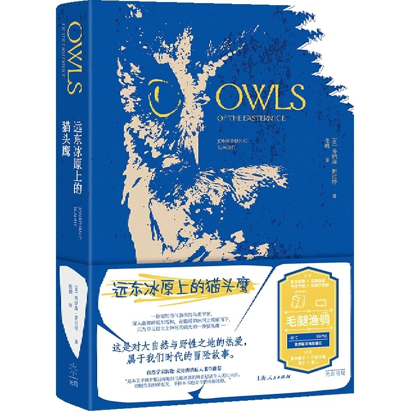 远东冰原上的猫头鹰