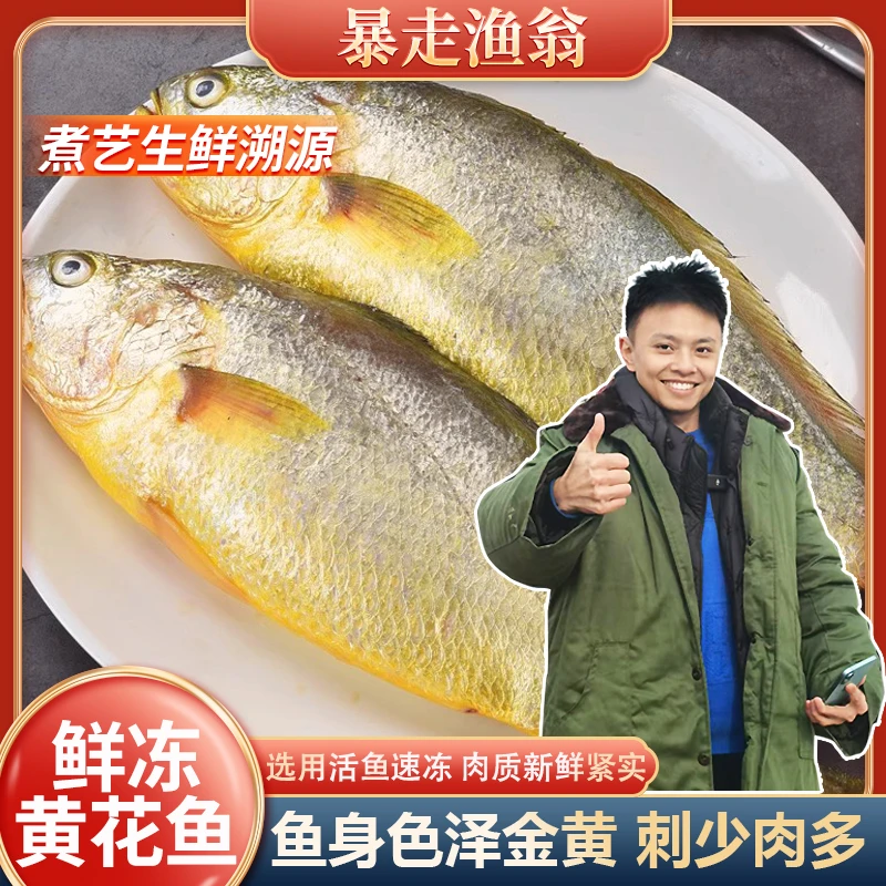 新鲜黄鱼 4-5两/条*10条连云港发货