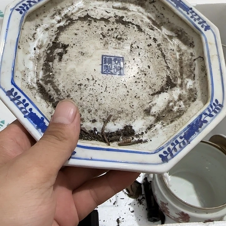 风***阻扇子个恍恍惚惚宝贝吧哈哈哈哈