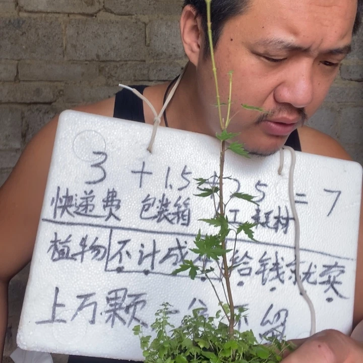 退款拉黑一物一拍59