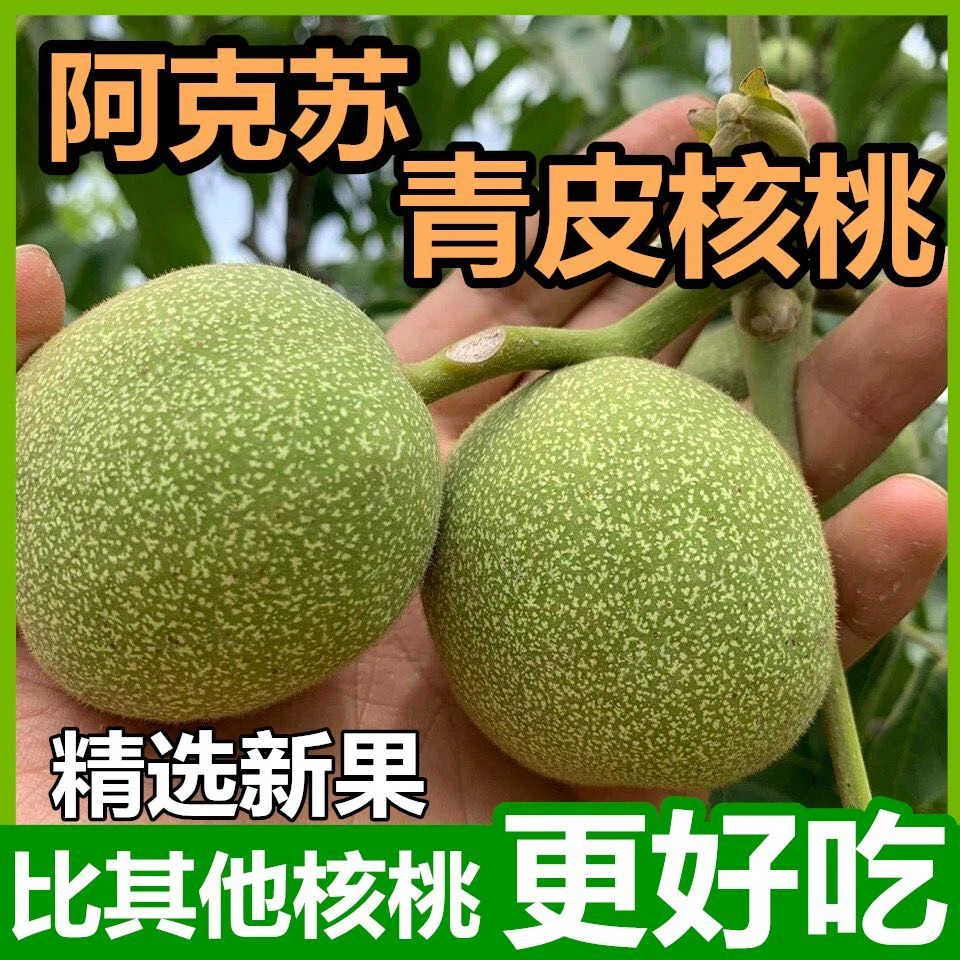 现摘25年新鲜青皮核桃新疆阿克苏纸皮薄壳带湿核桃原味孕妇鲜核桃