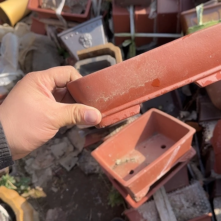 我不在这里吃饭你吃好没了吧吃