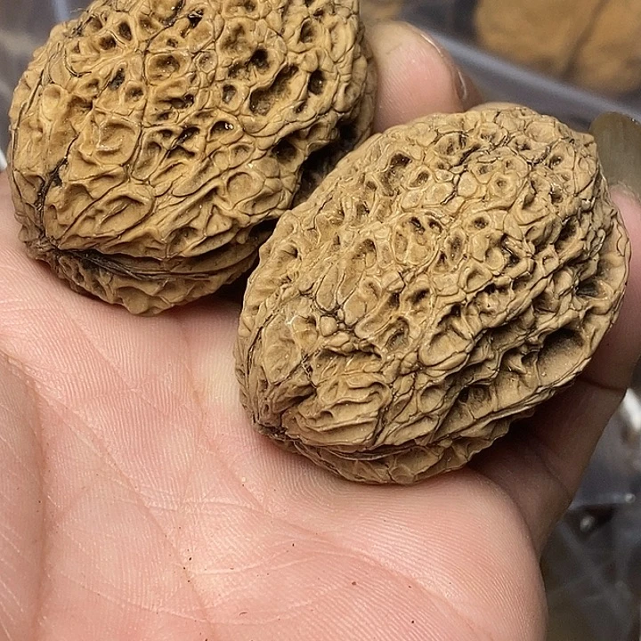 文玩核桃把件云南铁核桃71