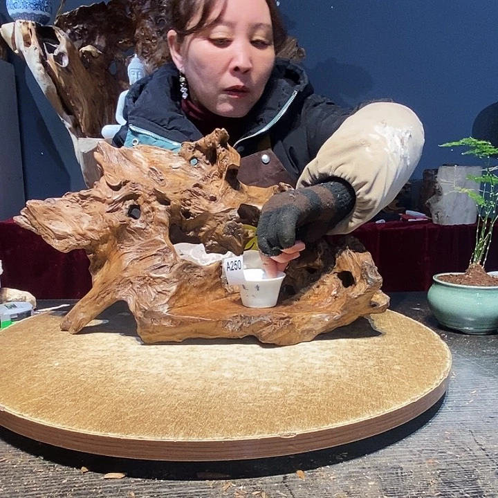 雨****6250株木随行的小根艺的