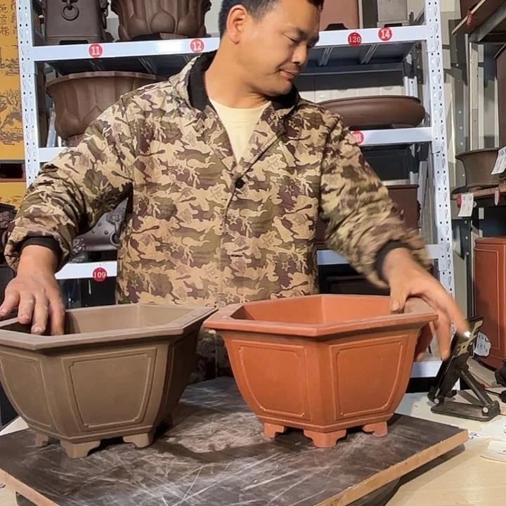 紫砂花盆东**牛Mmmmmmmmmmm