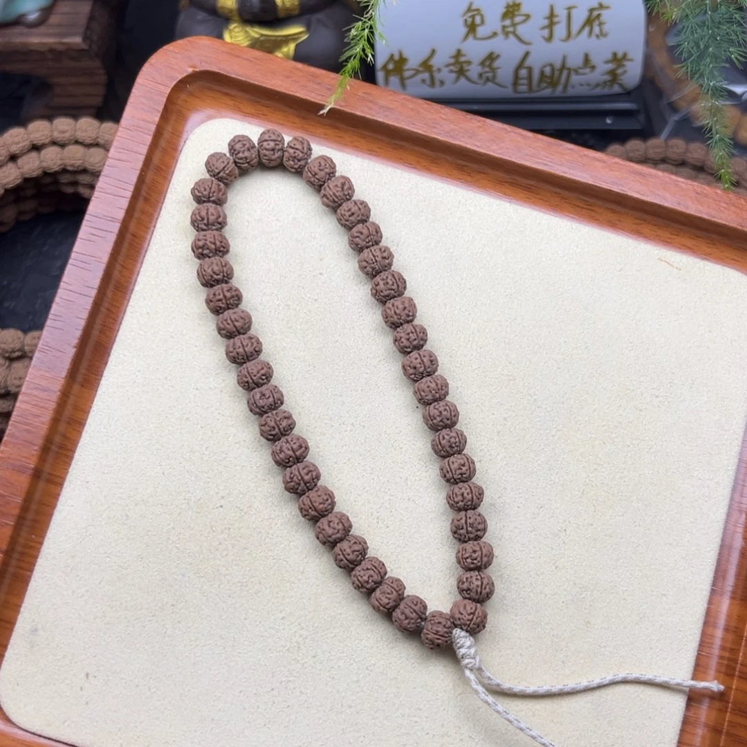 金刚菩提手串勿里达纯血老树王