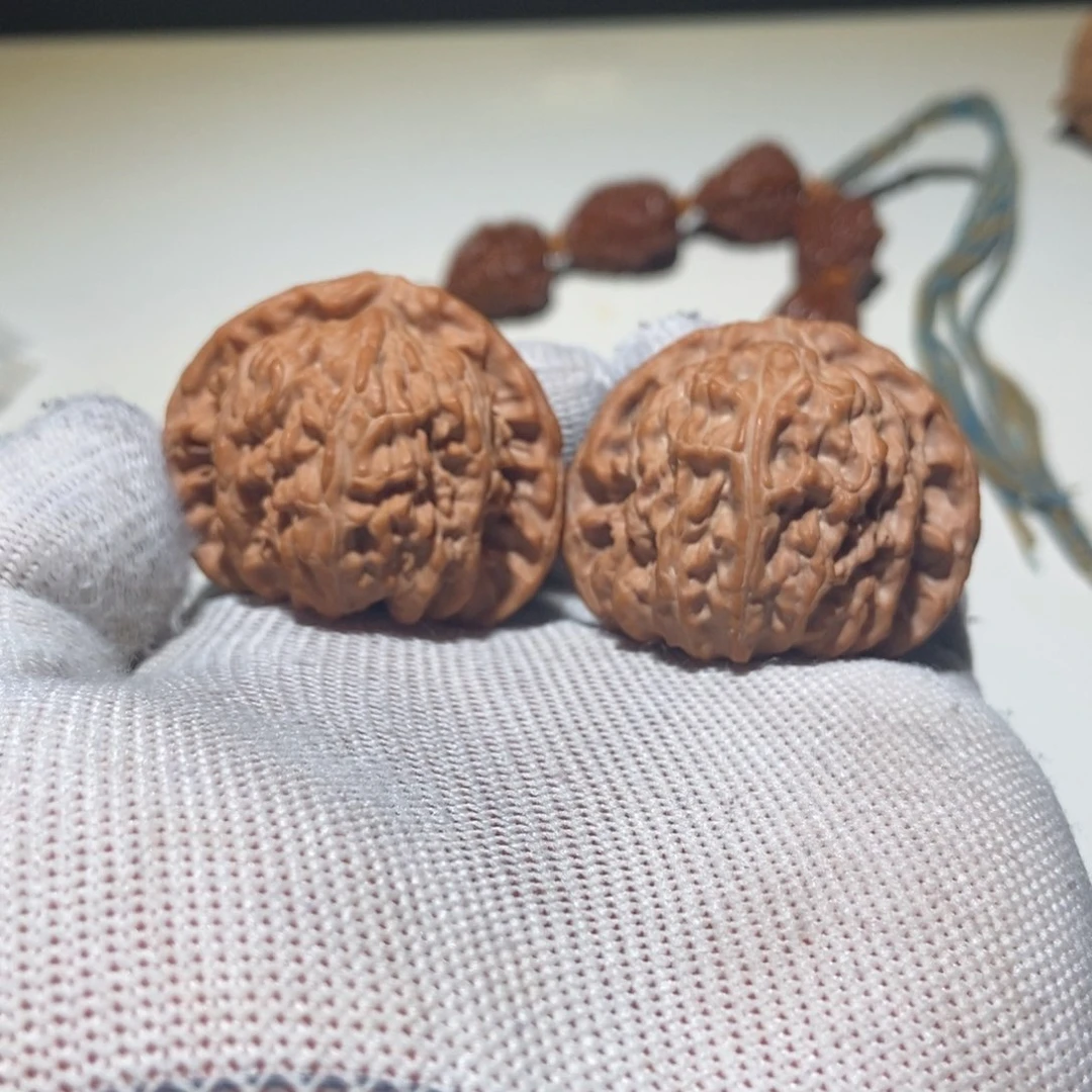 核桃文玩核桃白狮子41.5尺寸