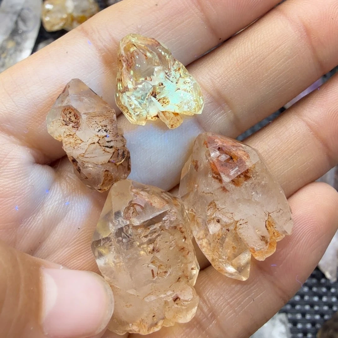 石材红泥骸骨4颗福利