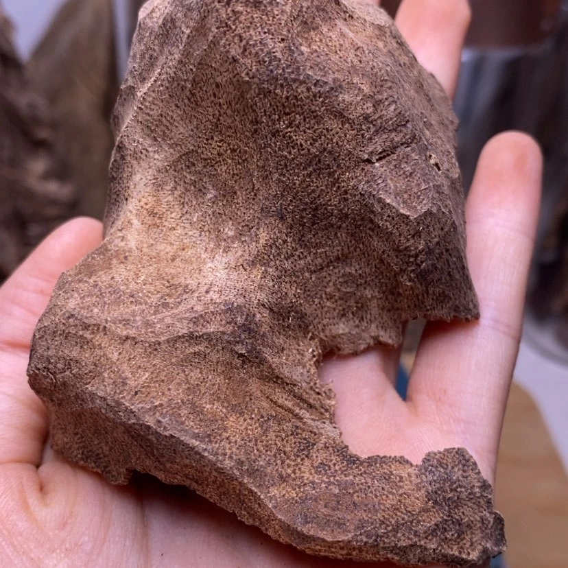 【闪购商品】海南15.6克