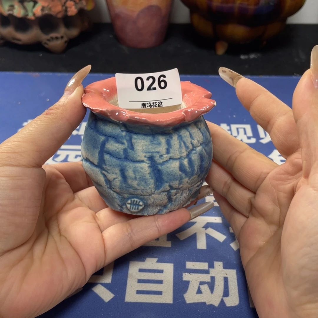 特价微瑕疵不退不换哦26