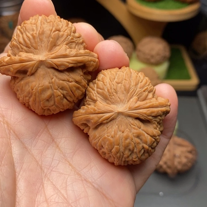 把件文玩核桃猫**海白狮子41