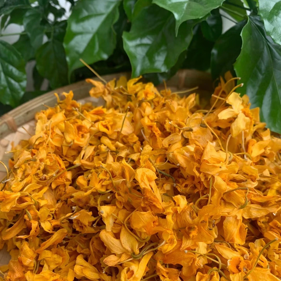 【阿海精选】鼓槌石虍花