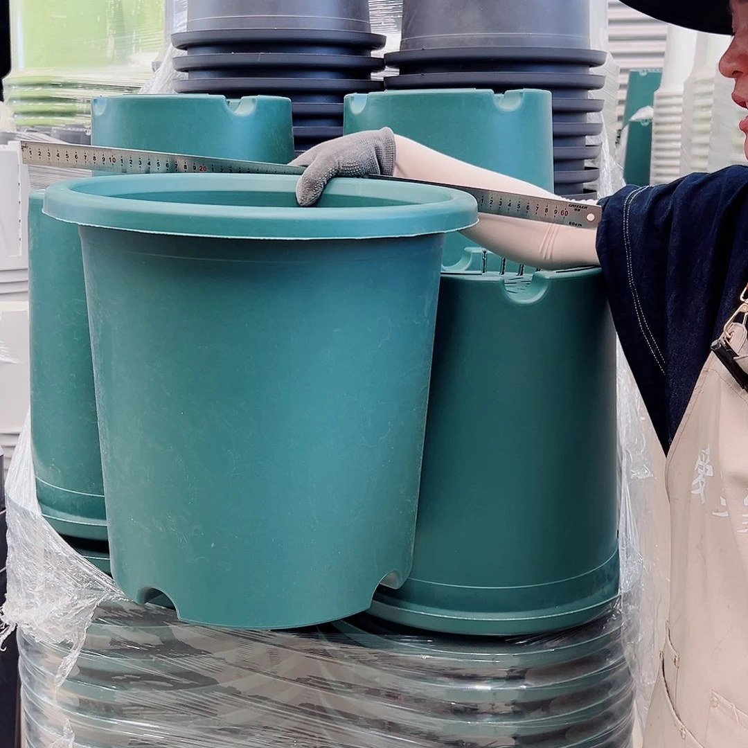 四季盆8#墨绿色5个无托