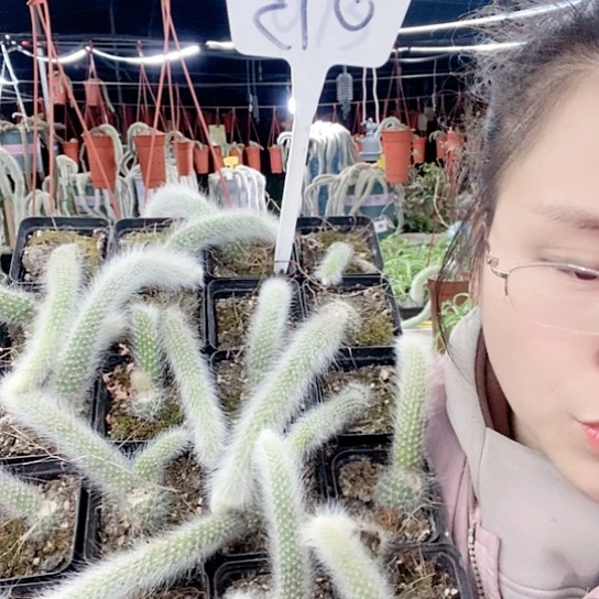 荷*河073无售后服务全国网点