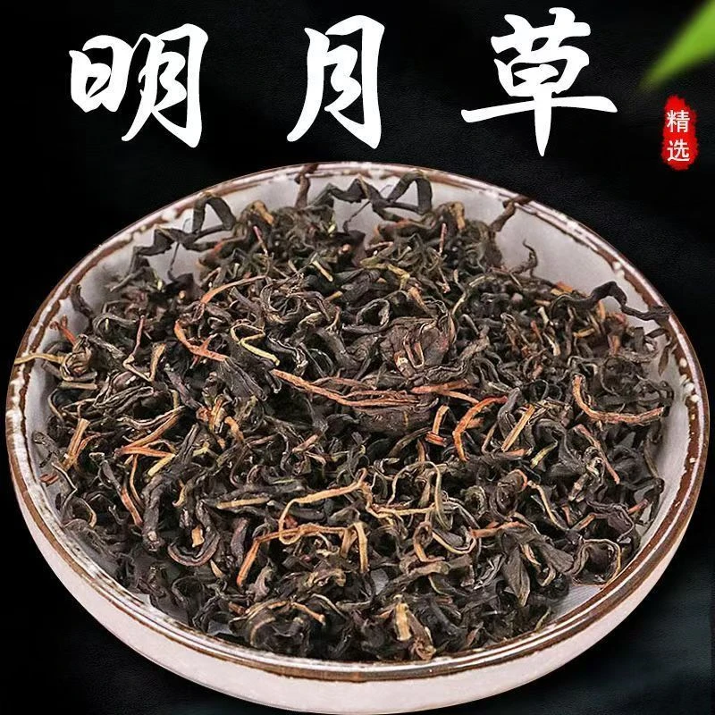 明月草中药材白背三七明月茶明月叶白背菜白子菜明日鸡毛菜散装