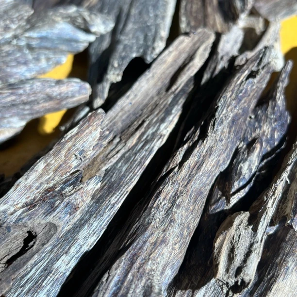 都蓬原料各个产区薰香好味道香薰香料