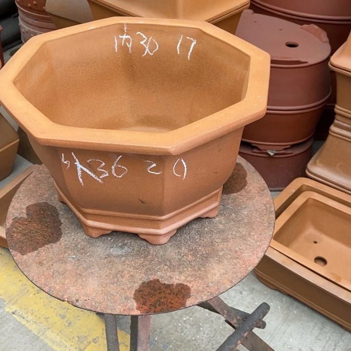 花盆紫砂只顾看手机和