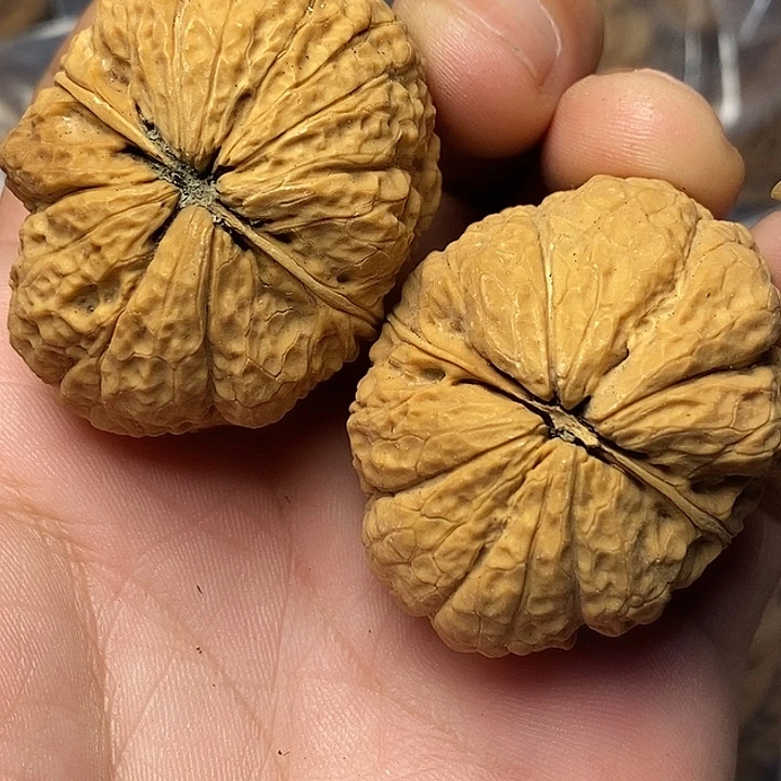 文玩核桃把件云南铁核桃18