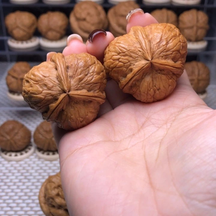 把件文玩核桃67号柿饼子三棱37➕尺