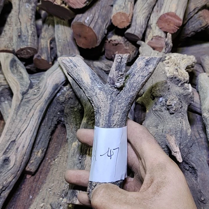 A***7火琉璃原杈不保沉水慎拍！