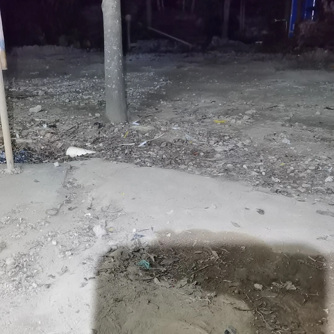 阿***承当前无花栽培后可以开花
