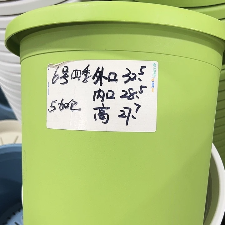 特价6号口32.5高27白色7只无托