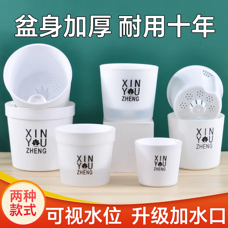 ZK直口懒人自吸水花盆网红款吊兰铜钱草绿萝桌面阳台树脂花盆