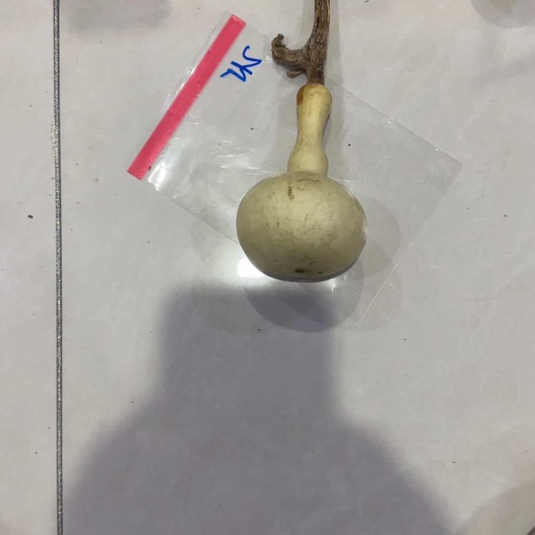 年***余青皮不包成青皮不包成